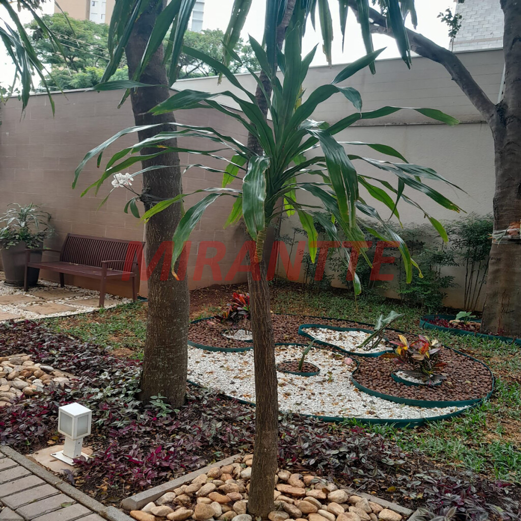 Apartamento de 57m² com 2 quartos em Lauzane Paulista