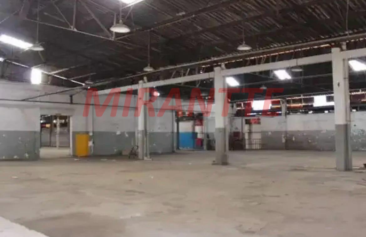 Galpao de 4125m² em Jardim Jaraguá (São Domingos)