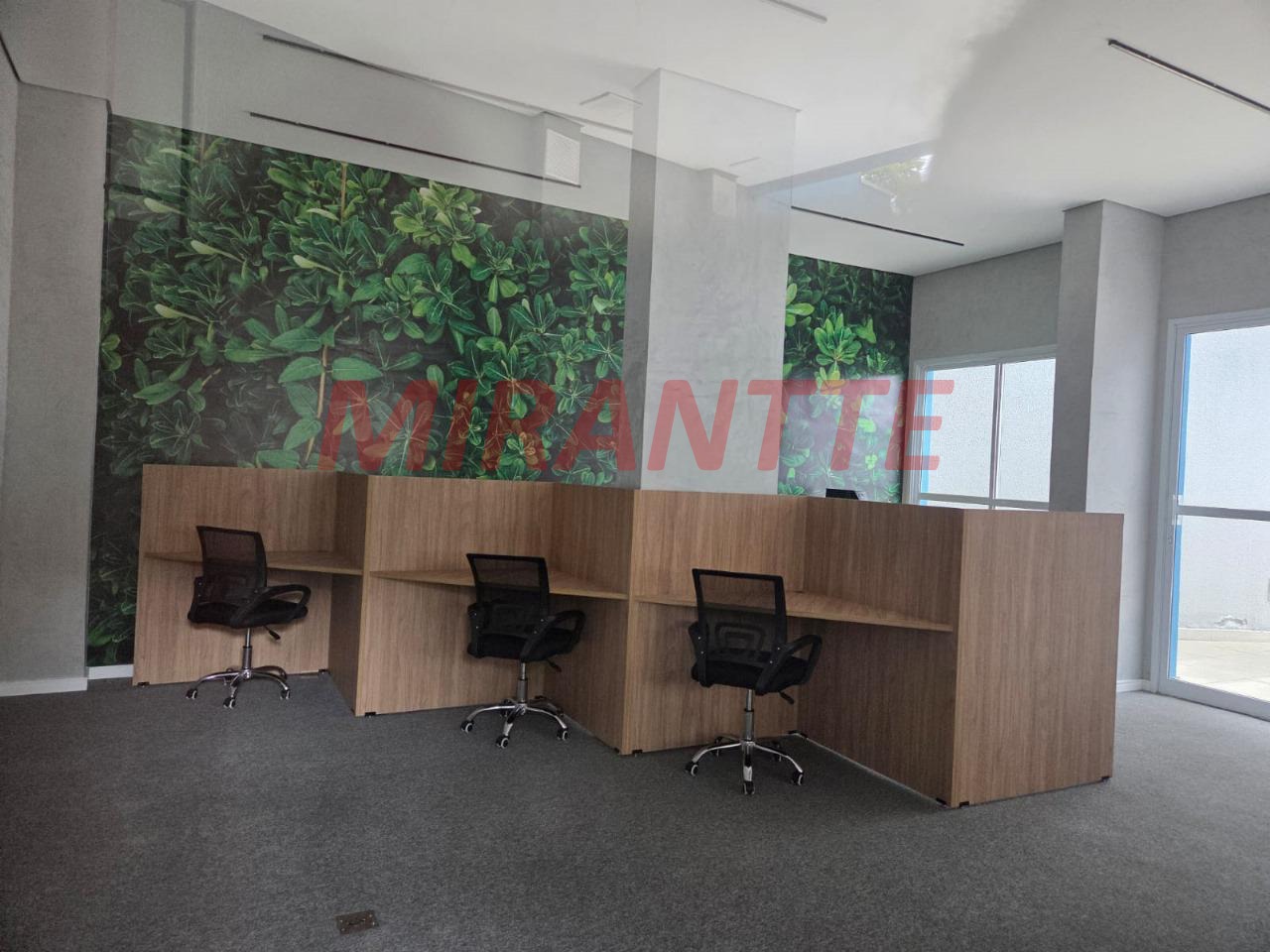Apartamento de 56m² com 2 quartos em Vila Rosália