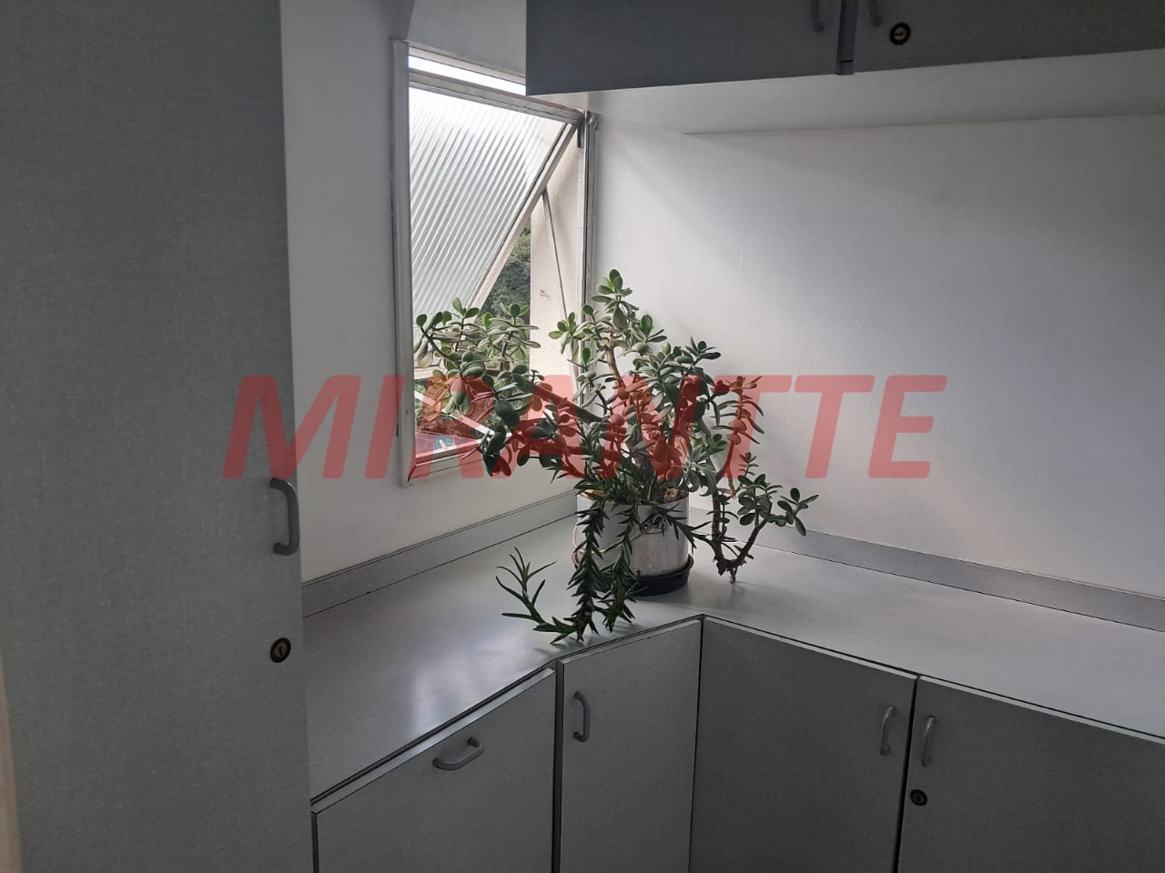 Apartamento de 72m² com 2 quartos em Lauzane Paulista