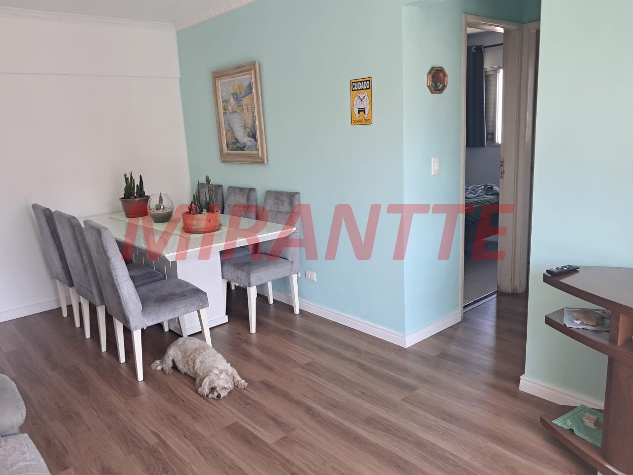 Apartamento de 72m² com 2 quartos em Lauzane Paulista