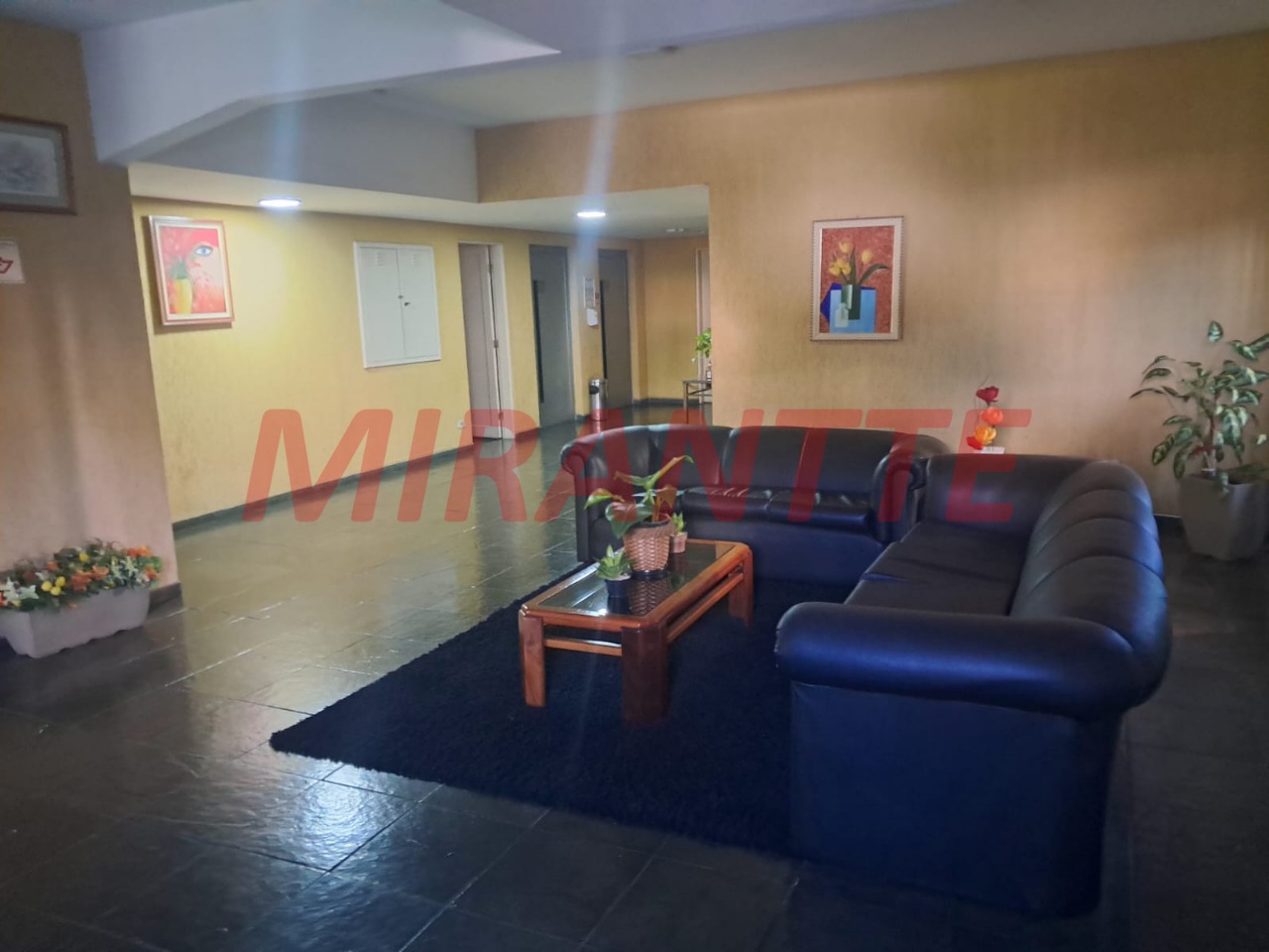 Apartamento de 72m² com 2 quartos em Lauzane Paulista