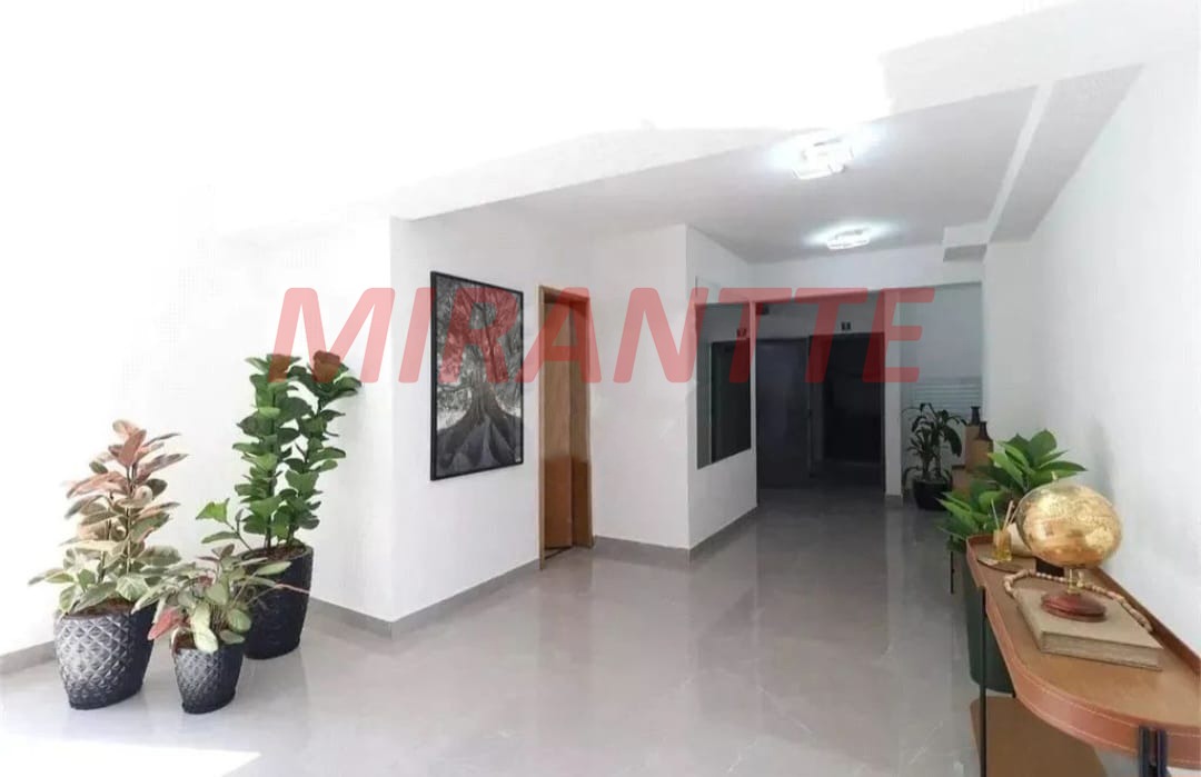 Apartamento de 71m² com 2 quartos em Tucuruvi