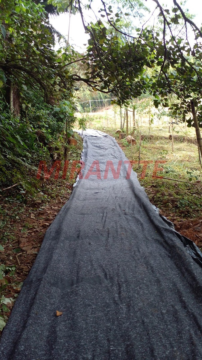 Terreno de 0m² em PARQUE ALEXANDRE