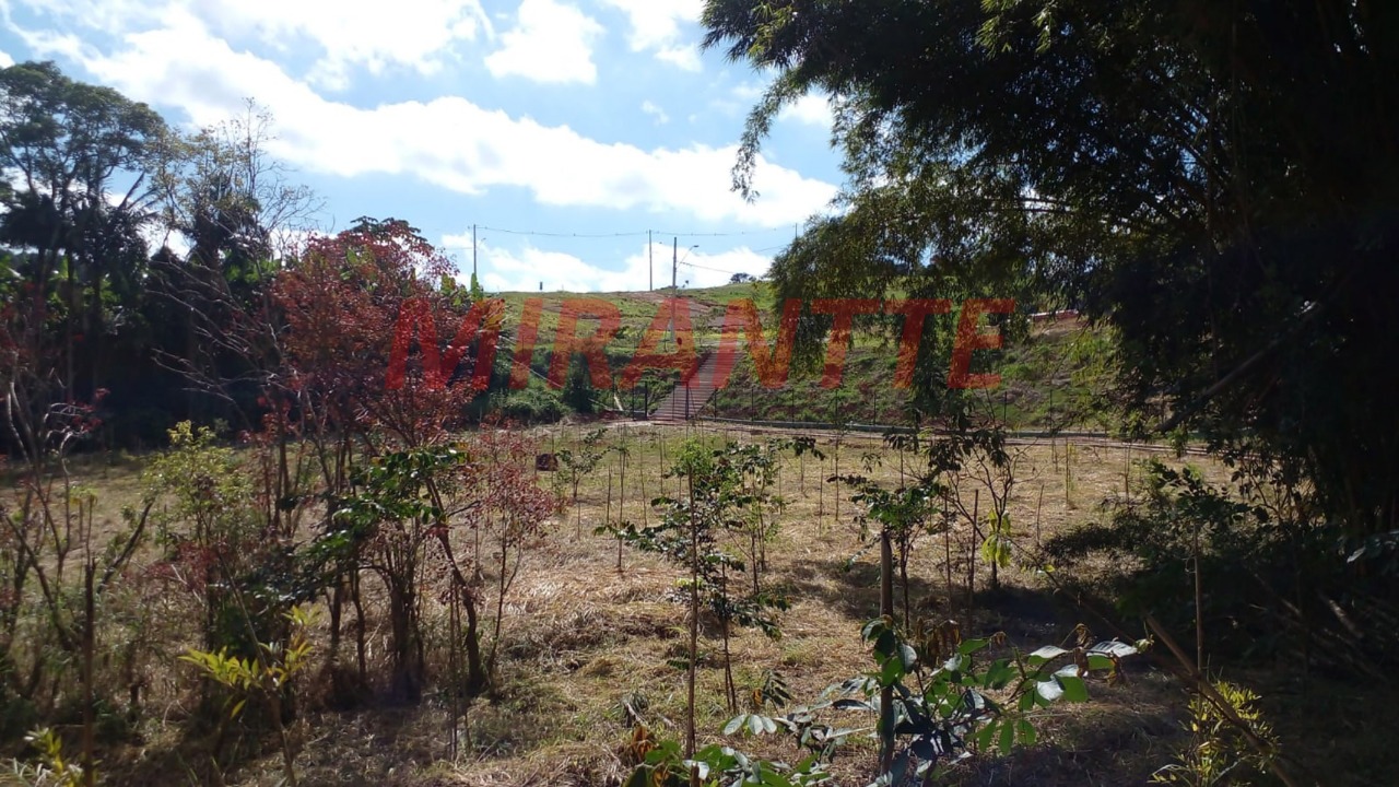 Terreno de 0m² em PARQUE ALEXANDRE
