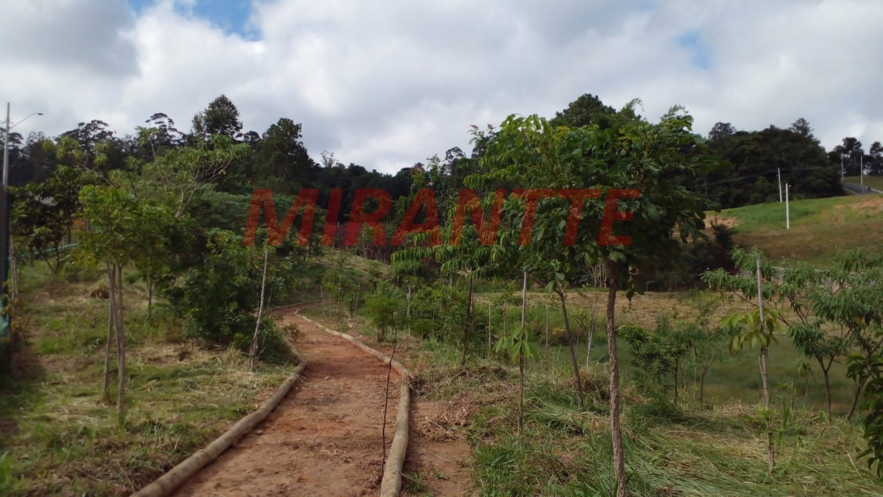 Terreno de 0m² em PARQUE ALEXANDRE