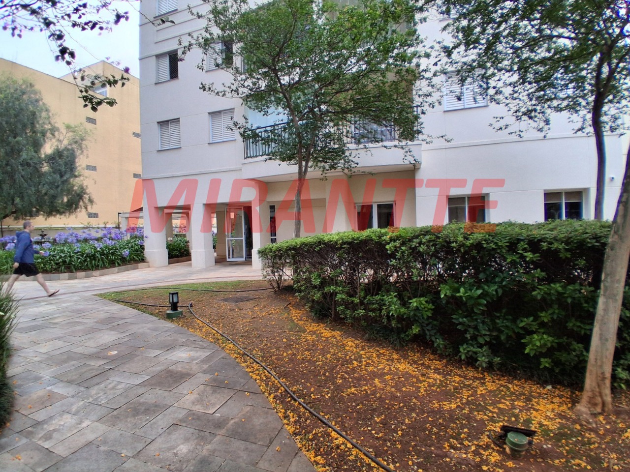 Apartamento de 65m² com 2 quartos em Vila Guilherme