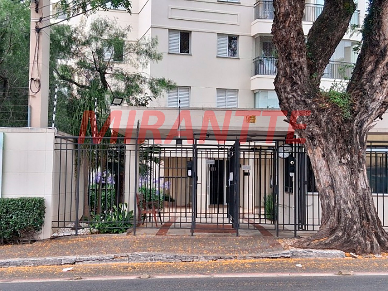 Apartamento de 65m² com 2 quartos em Vila Guilherme