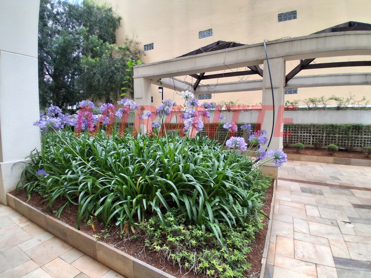 Apartamento de 65m² com 2 quartos em Vila Guilherme
