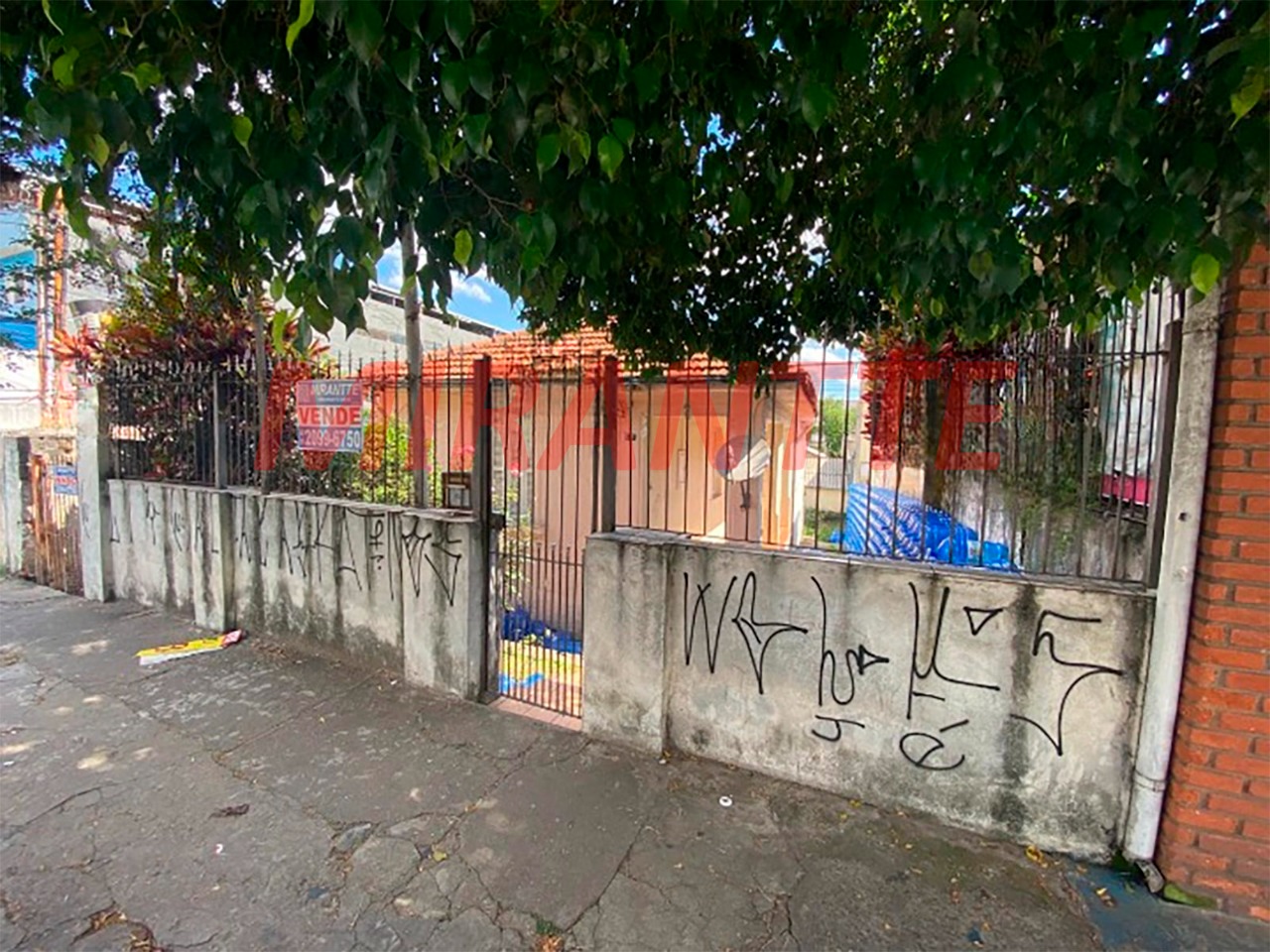 Casa terrea de 264m² com 6 quartos em Limão