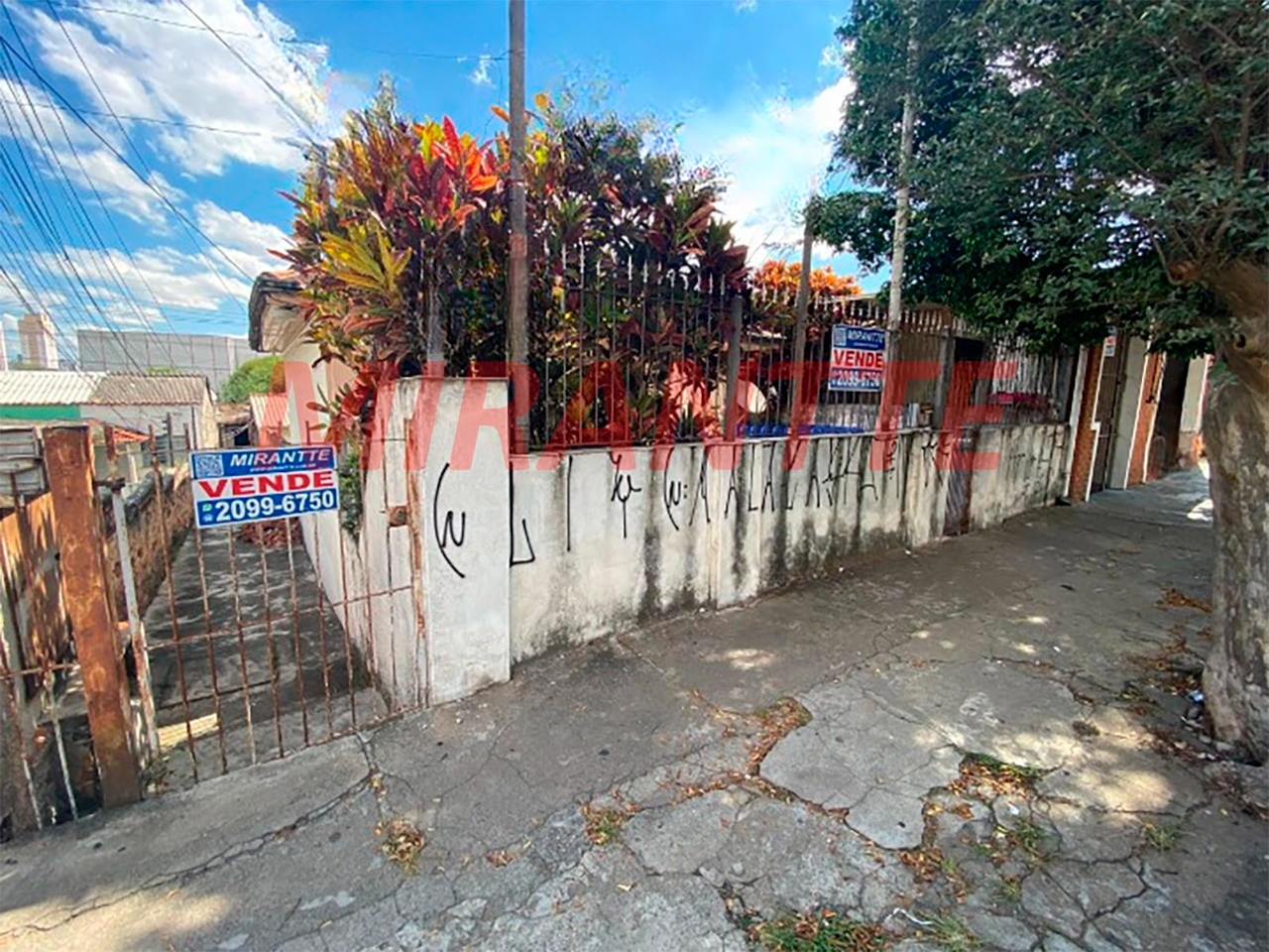 Casa terrea de 264m² com 6 quartos em Limão