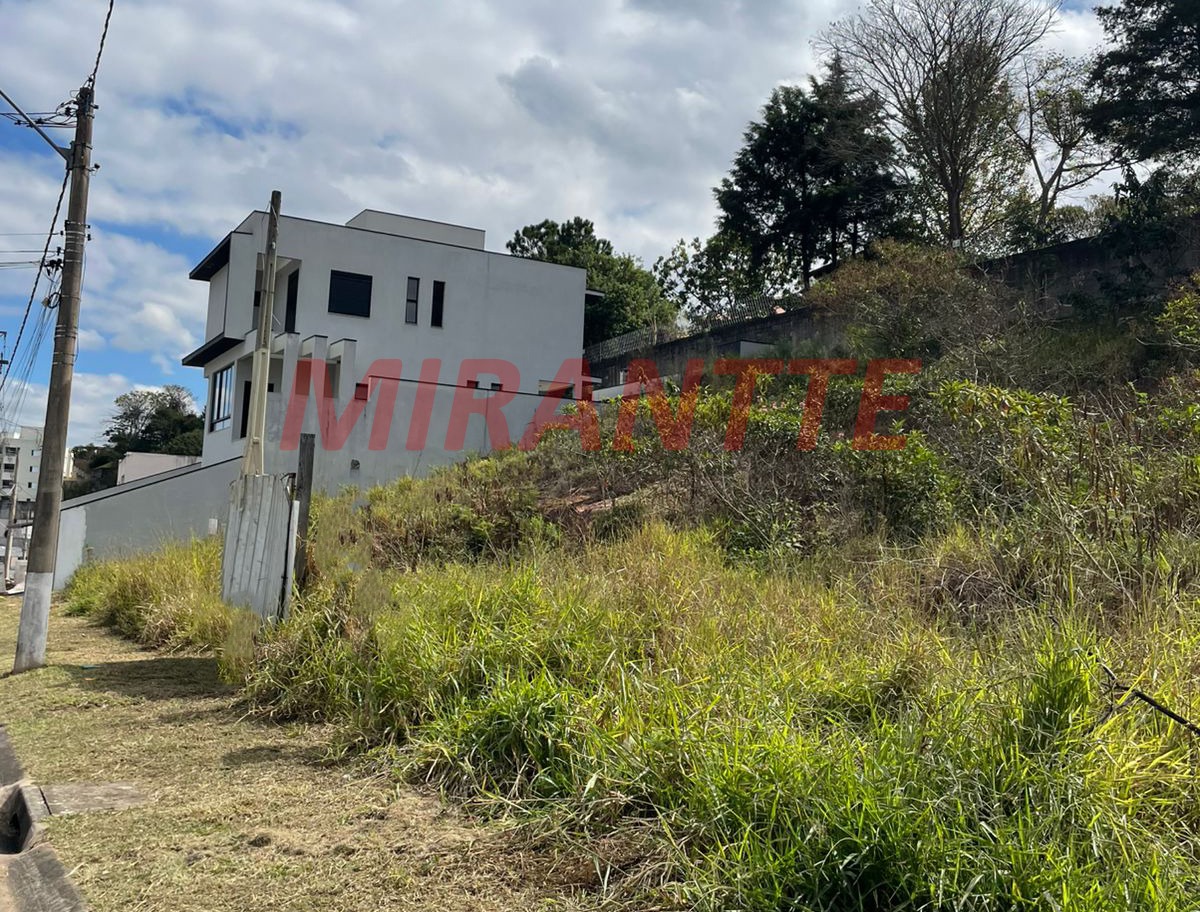 Terreno de 0m² em Quinta das Videiras