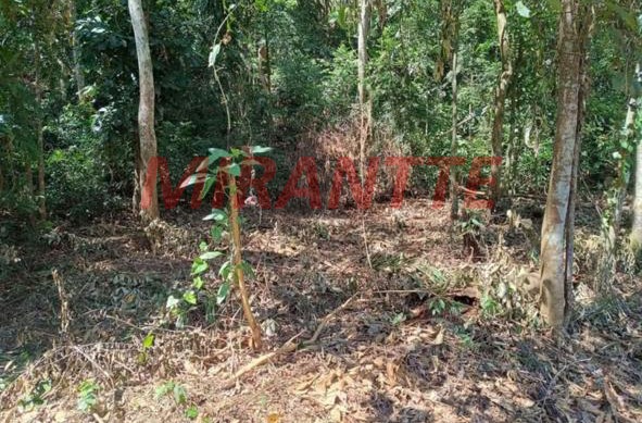 Terreno de 0m² em Samambaia