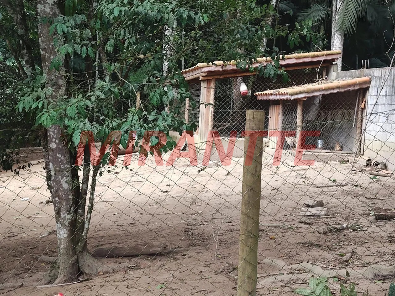 Outros de 380m² com 4 quartos em Santa Rita