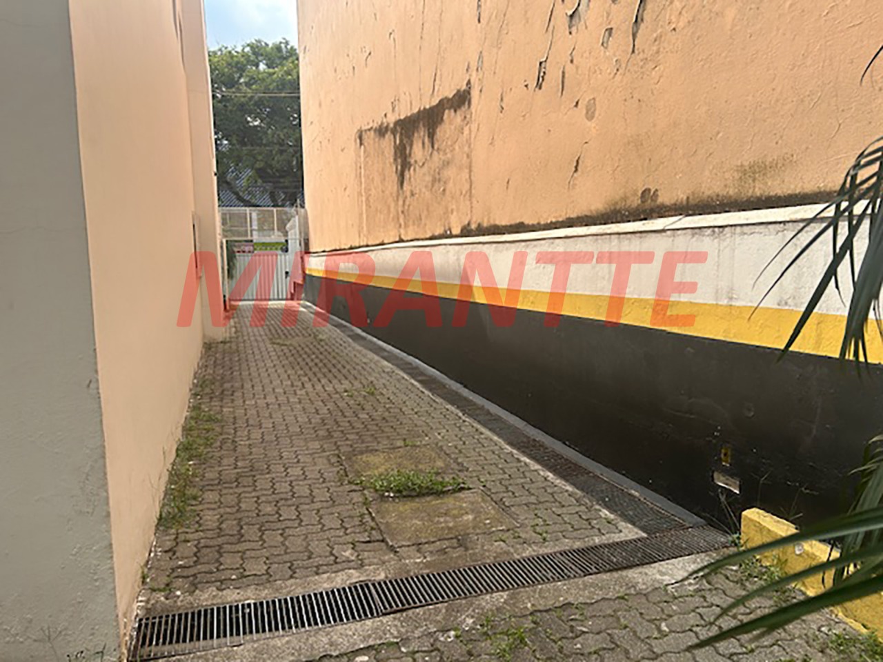 Comercial de 352m² em Limão