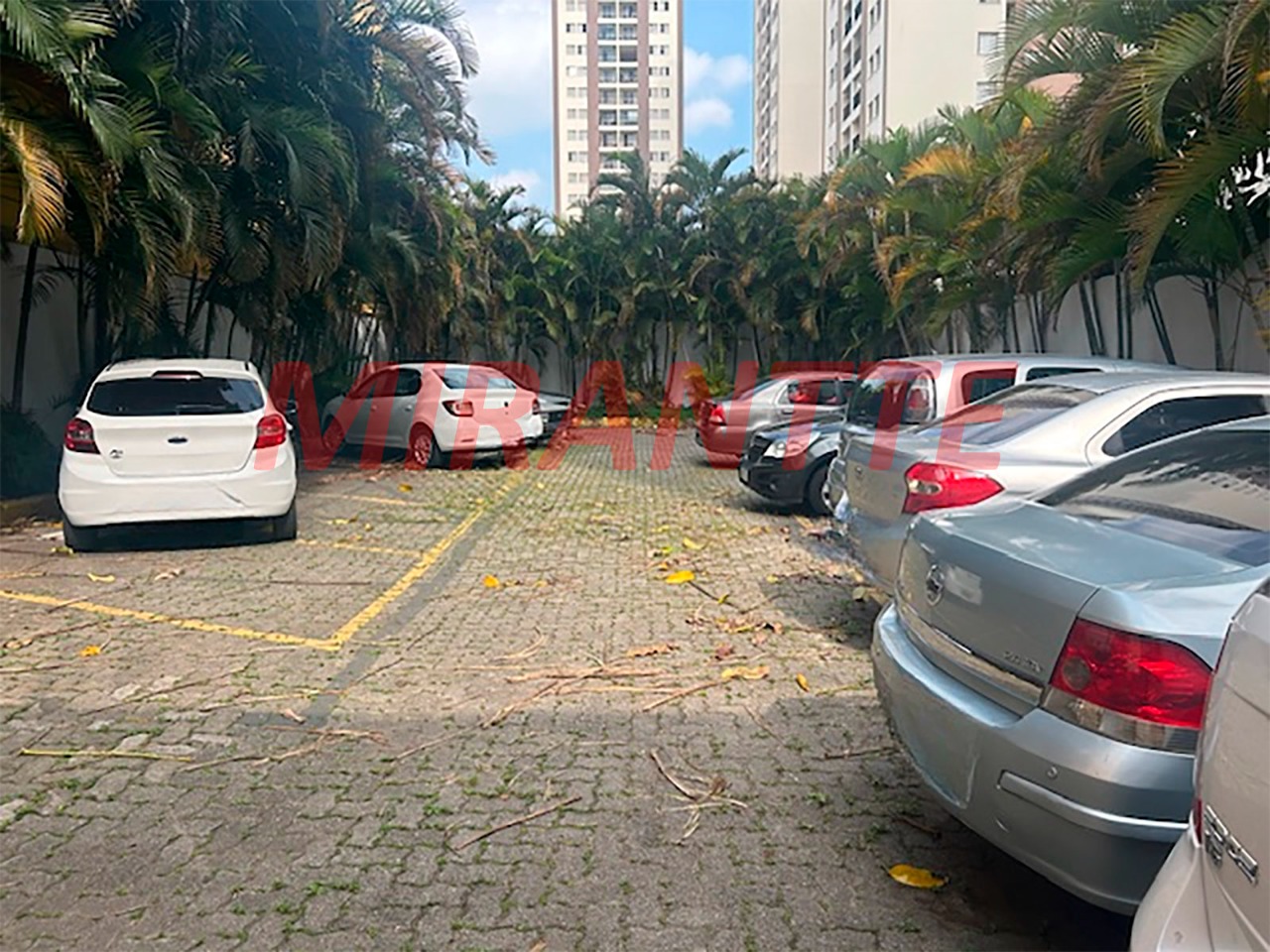 Comercial de 352m² em Limão