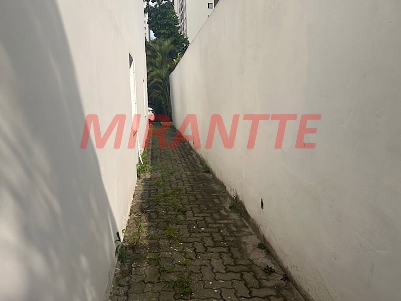 Comercial de 352m² em Limão