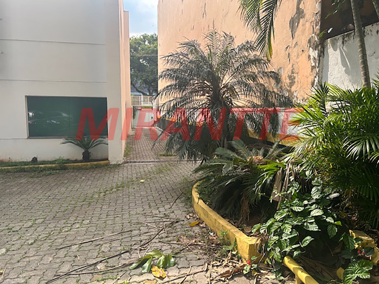 Comercial de 352m² em Limão