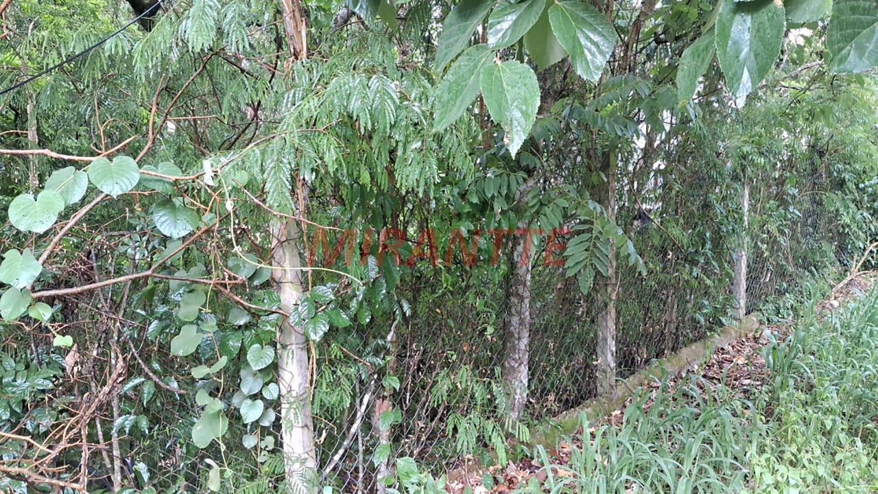 Terreno de 0m² em sausalito