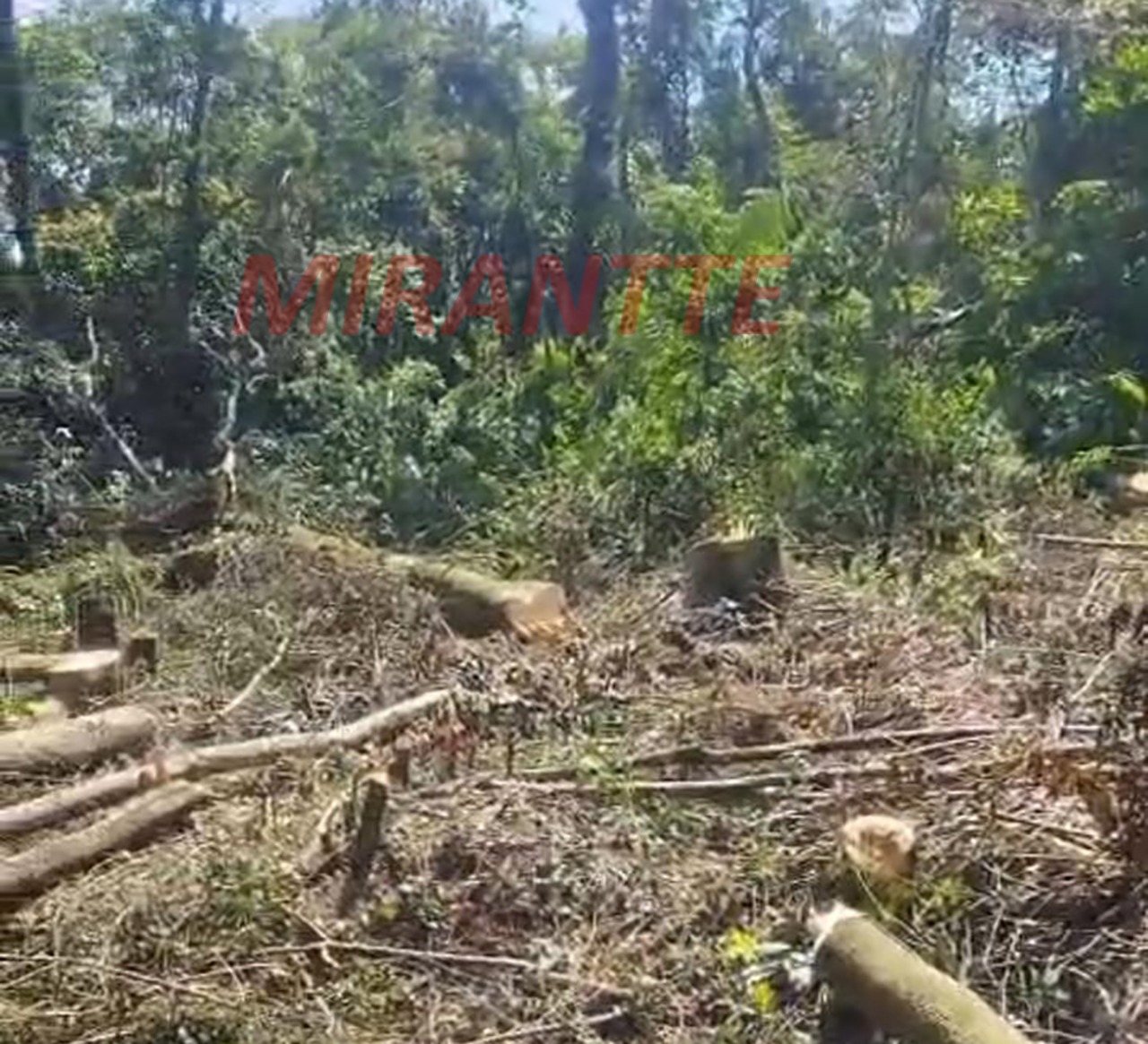 Terreno de 0m² em SANTA INÊS