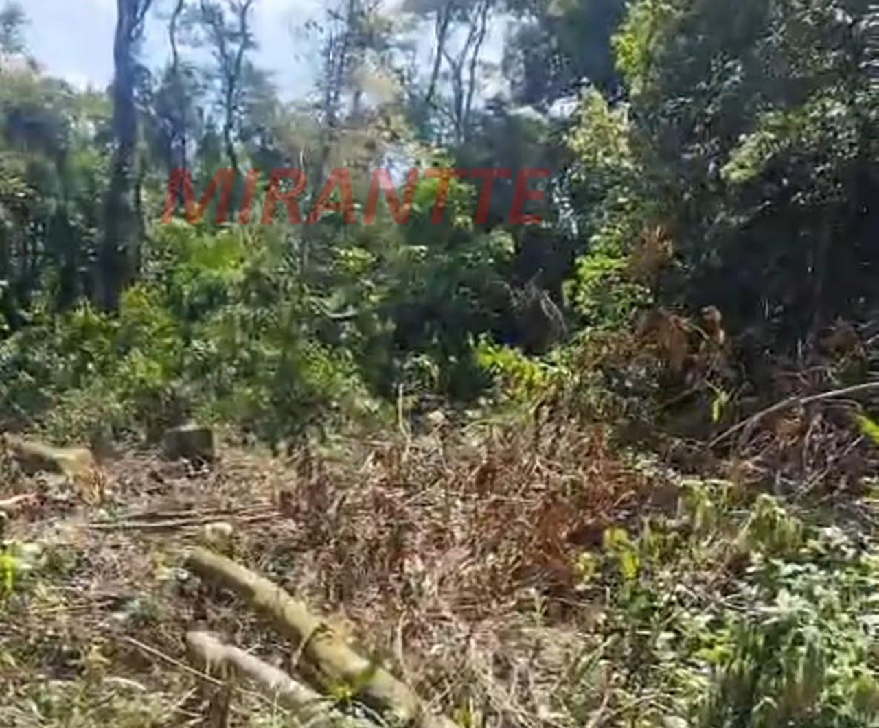 Terreno de 0m² em SANTA INÊS