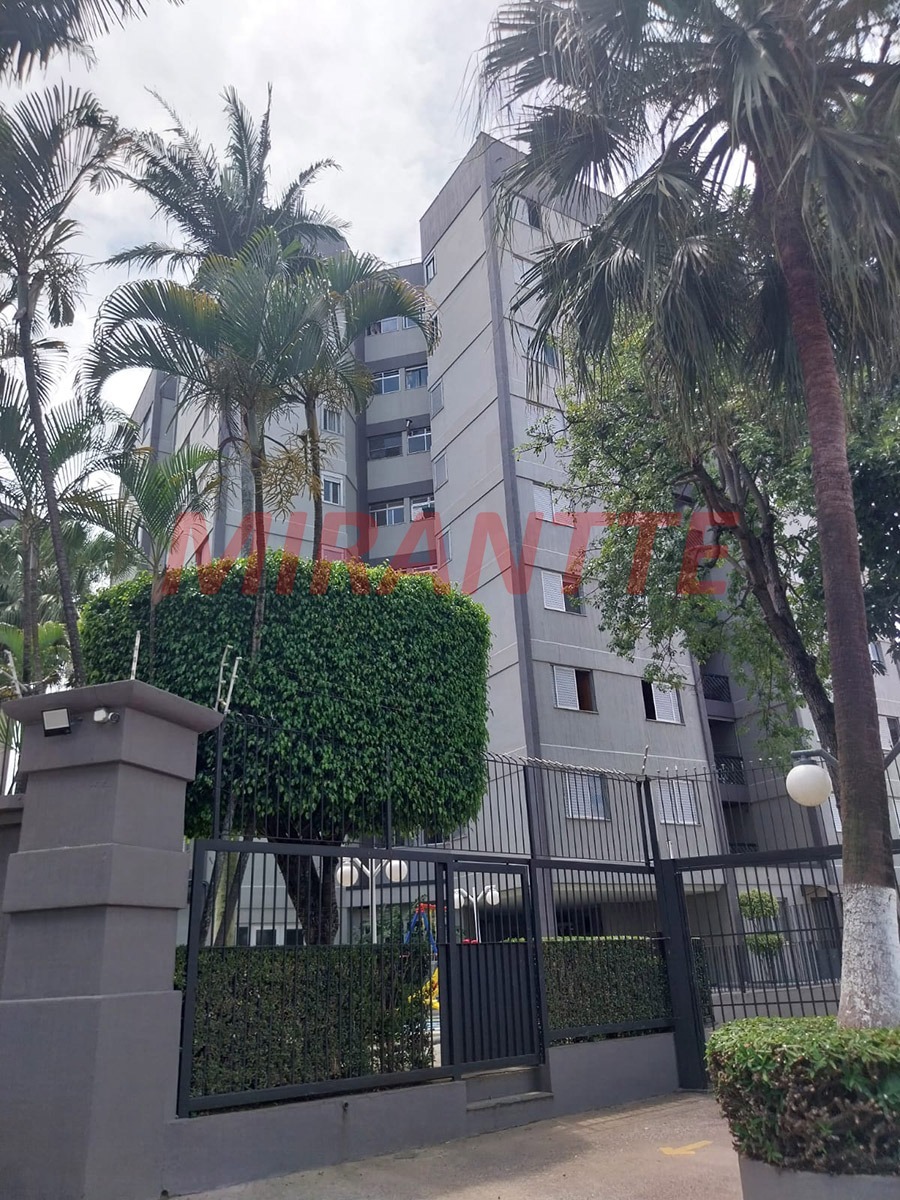 Apartamento de 70m² com 3 quartos em Vila Aurora (Zona Norte)