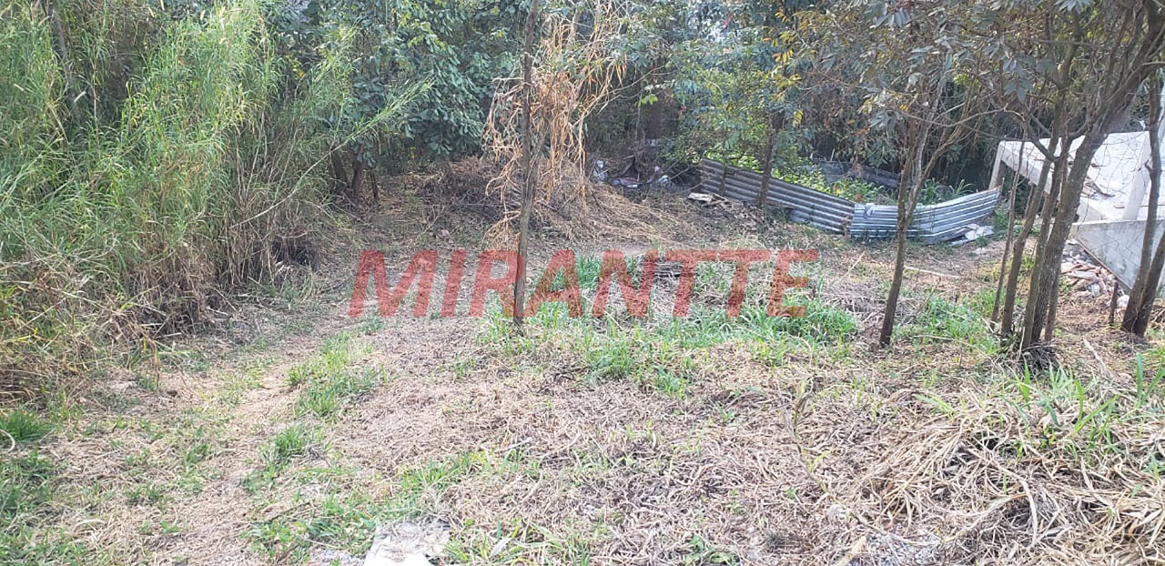 Terreno de 0m² em Vila Nova Cachoeirinha
