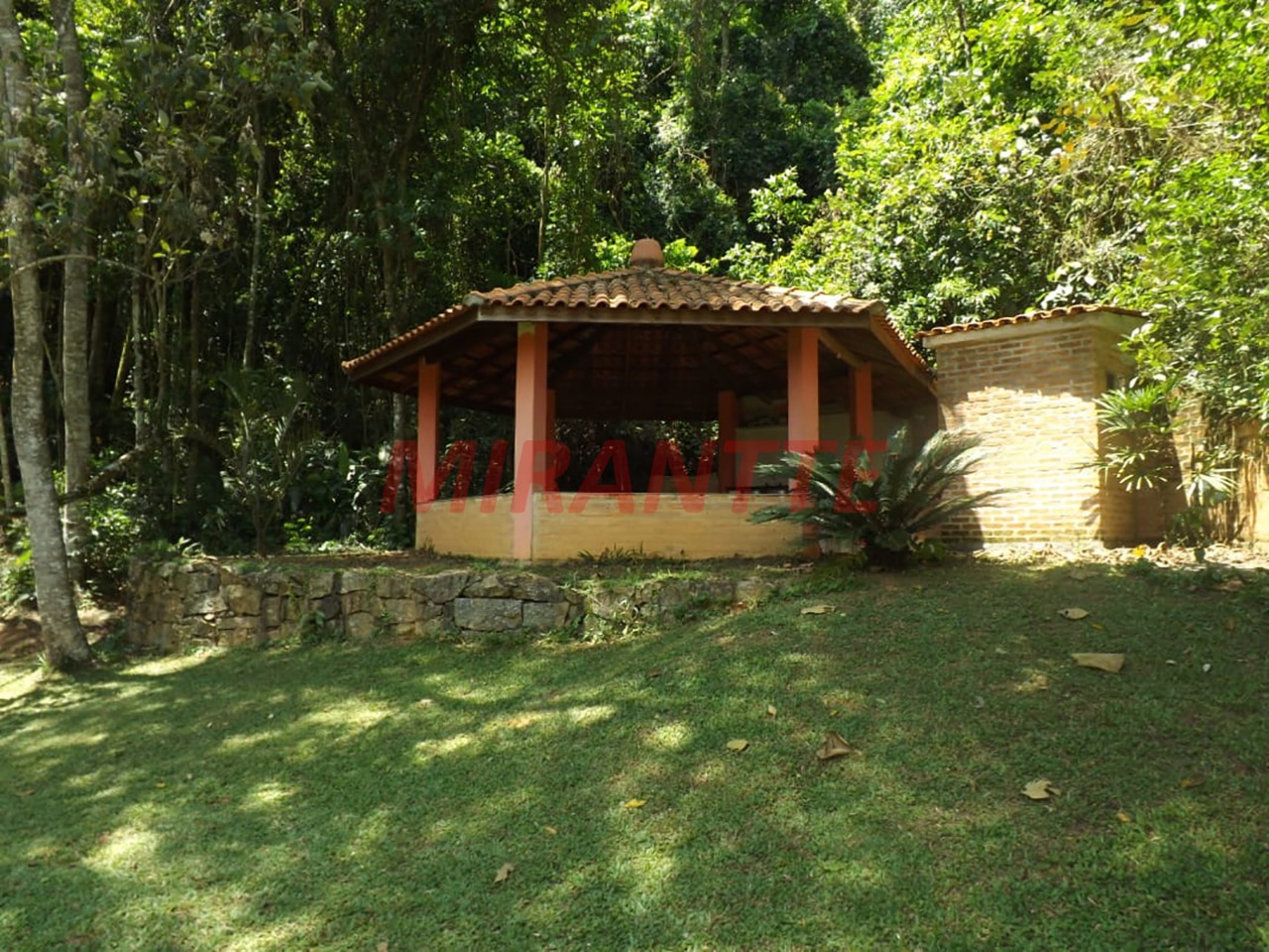 R2 Image 236435 #3