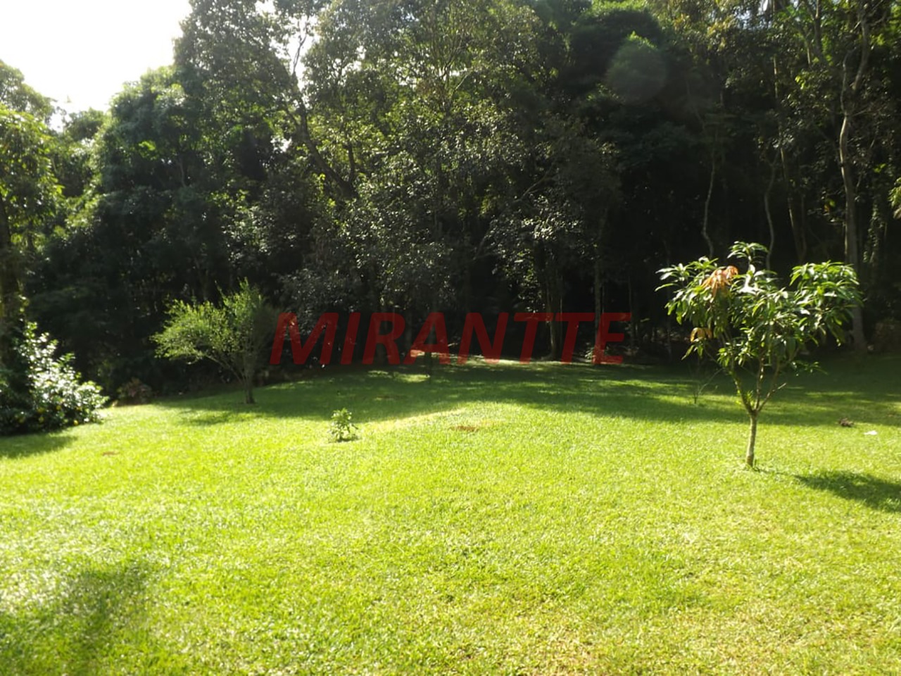 R2 Image 236435 #13