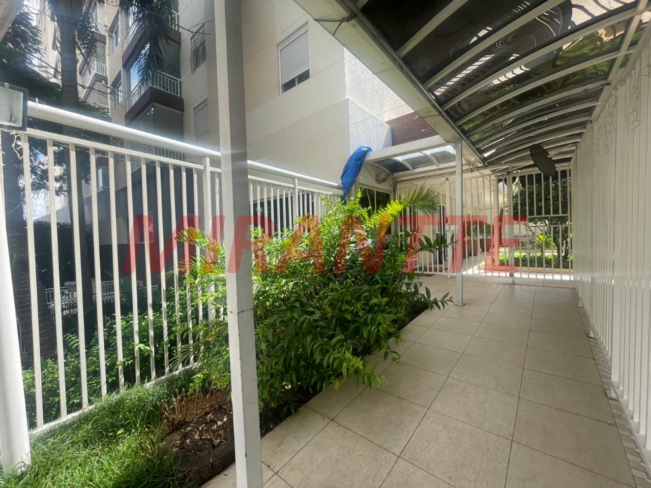 Apartamento de 88m² com 3 quartos em Casa Verde