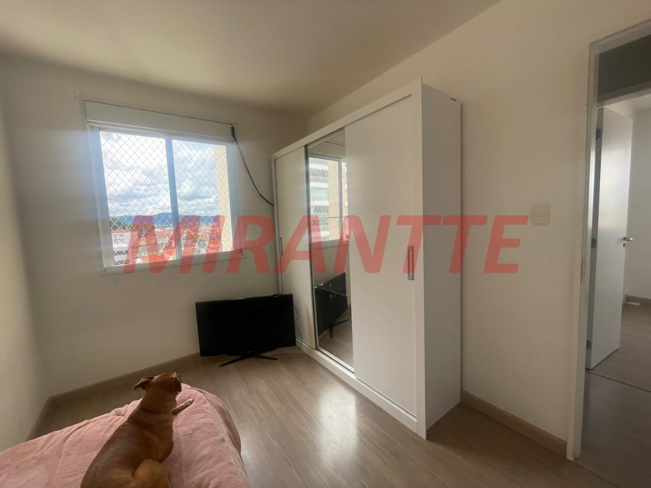 Apartamento de 88m² com 3 quartos em Casa Verde