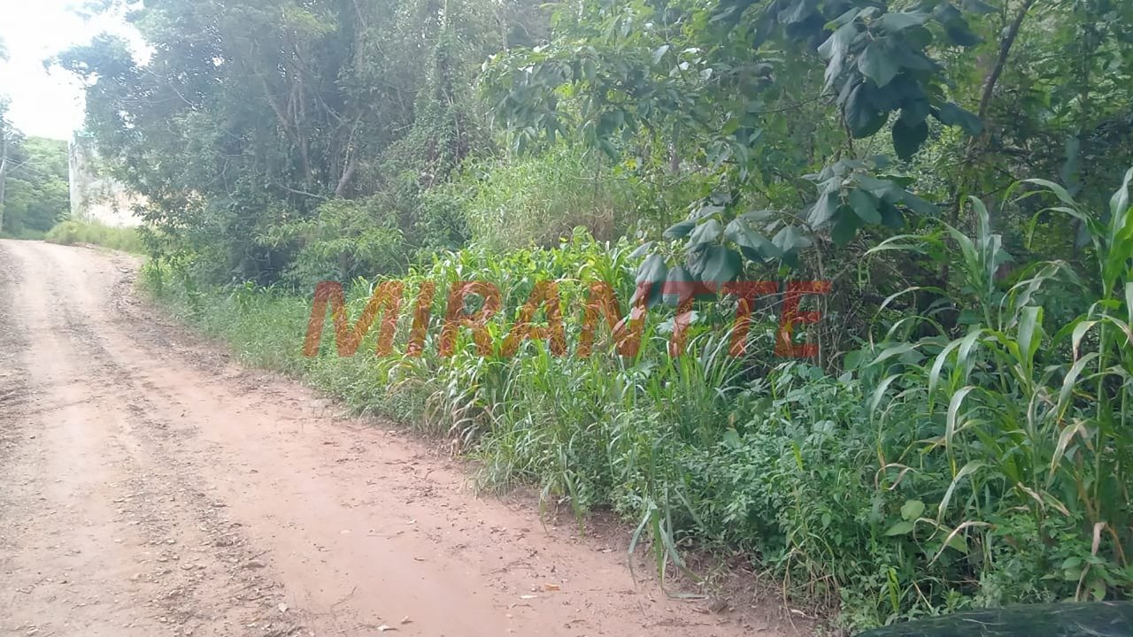 Terreno de 0m² em Boa Vista