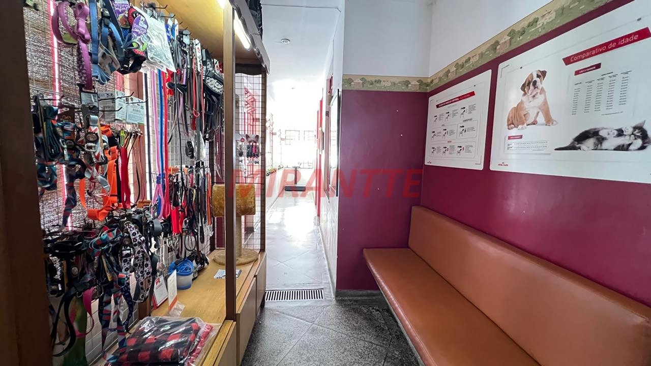 Sobrado de 282m² com 6 quartos em Santana