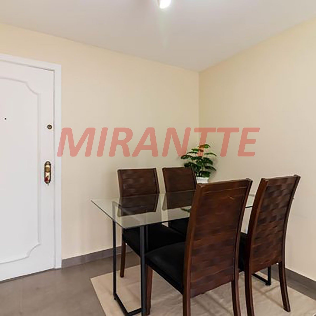 Apartamento de 54m² com 2 quartos em Lauzane Paulista
