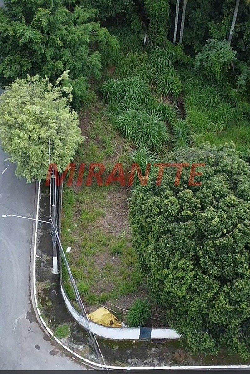 Terreno de 0m² em Jardim Virginia Bianca