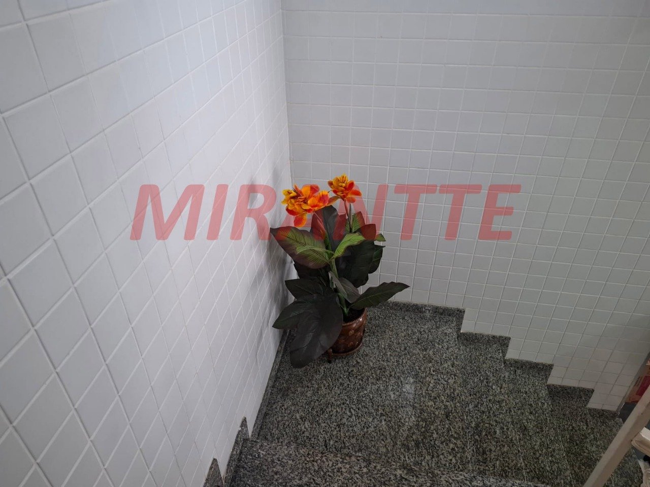 Casa terrea de 479m² com 3 quartos em Vila Albertina