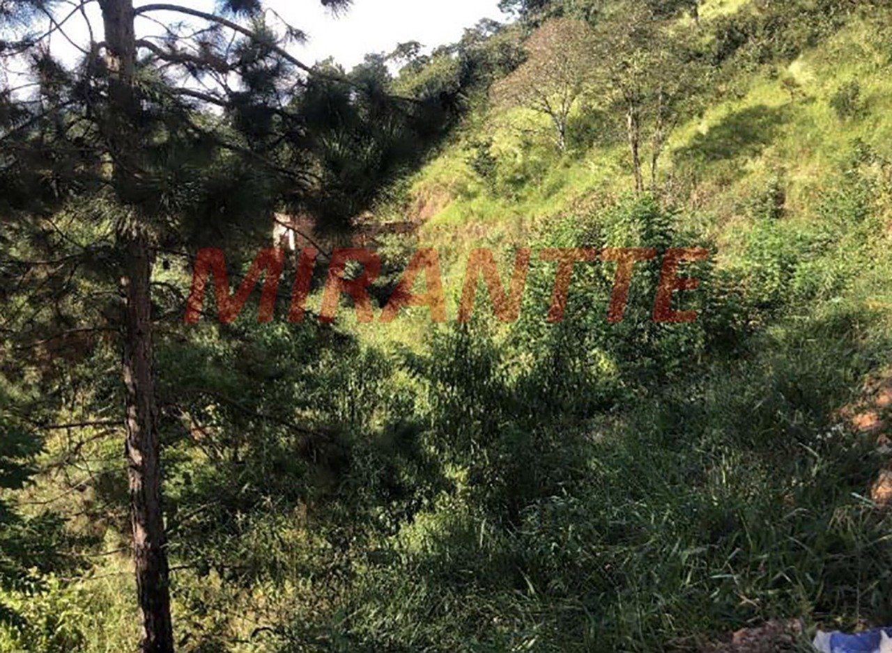 Terreno de 0m² em Jundiaizinho (terra Preta)