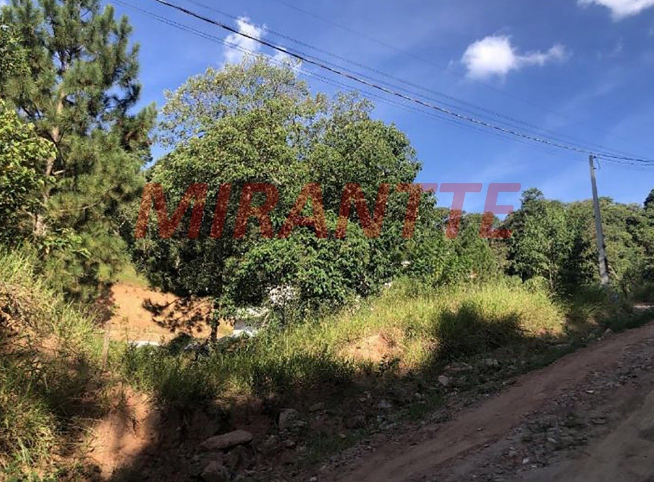 Terreno de 0m² em Jundiaizinho (terra Preta)