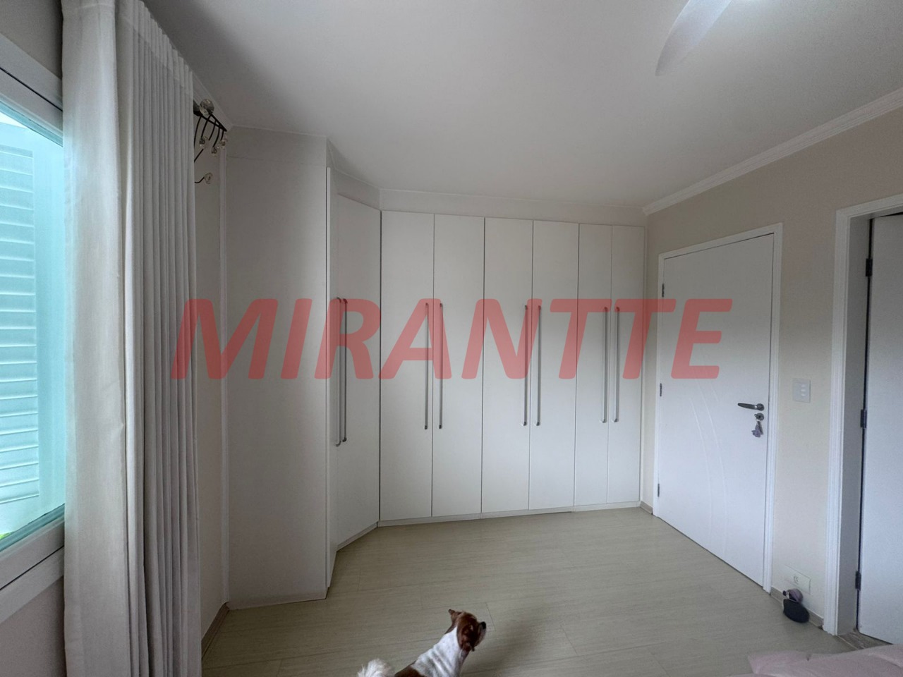 Casa terrea de 265m² com 4 quartos em Tucuruvi
