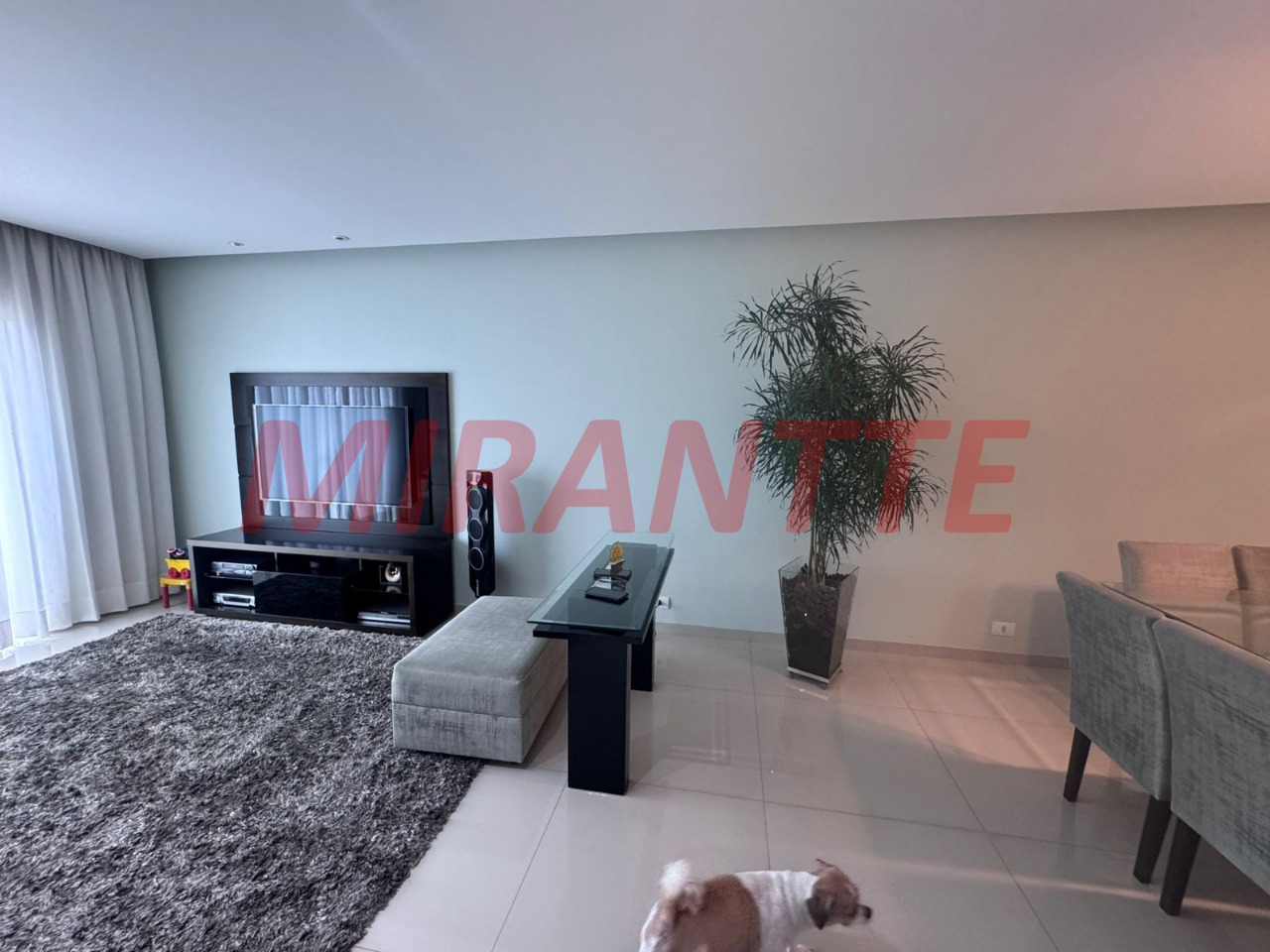 Casa terrea de 265m² com 4 quartos em Tucuruvi