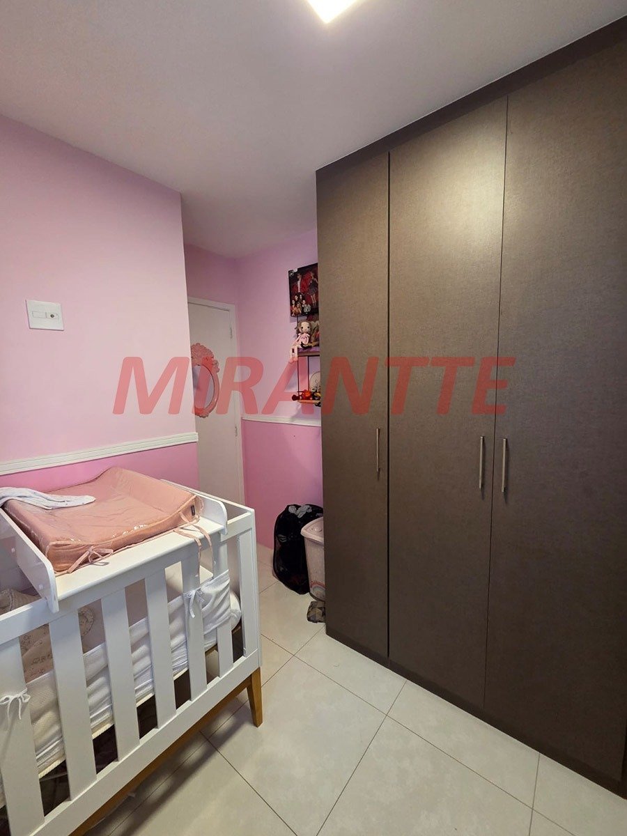 Apartamento de 50m² com 2 quartos em Tucuruvi
