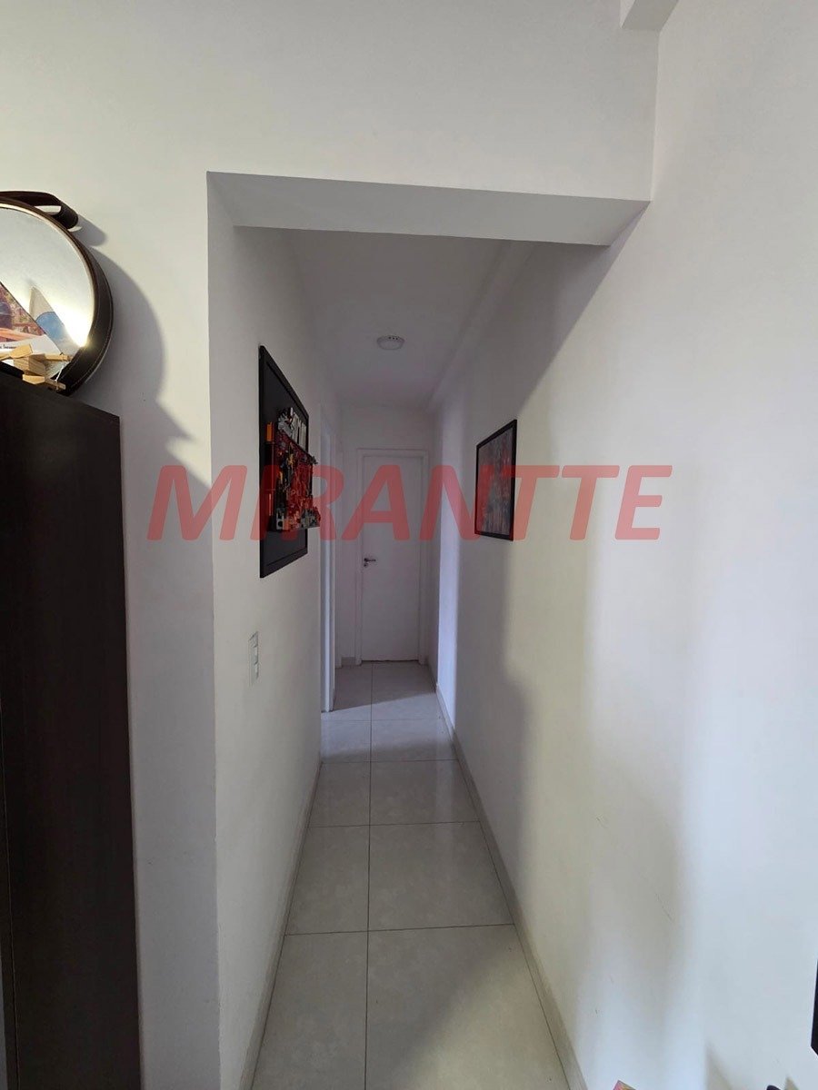 Apartamento de 50m² com 2 quartos em Tucuruvi