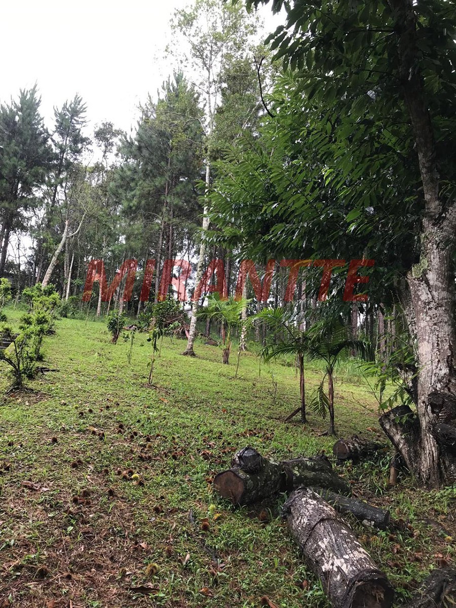 ChÁcara de 300m² com 2 quartos em Jardim Casa Grande/ Varginha