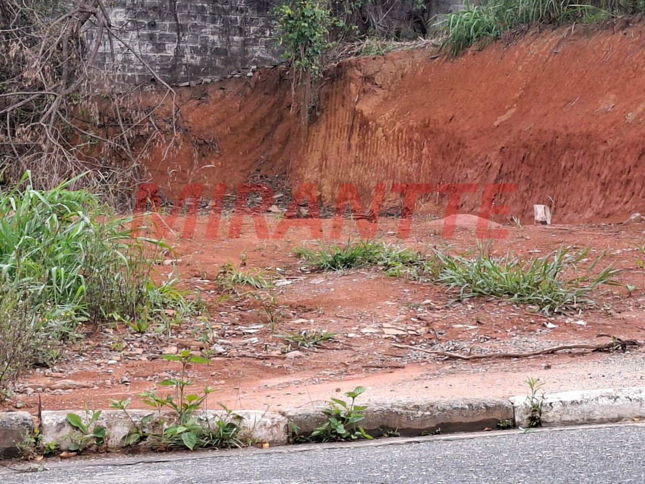 Terreno de 0m² em Vila Albertina
