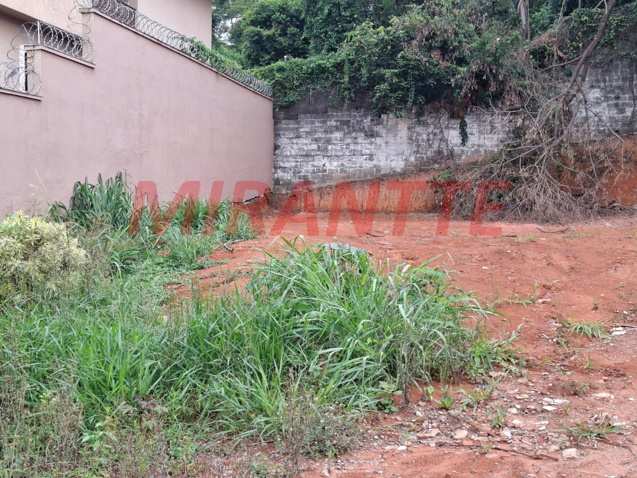 Terreno de 0m² em Vila Albertina