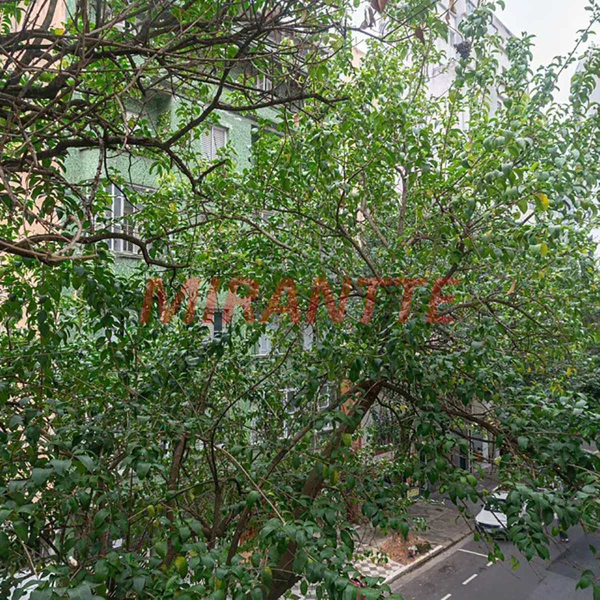 Apartamento de 39m² com 1 quartos em Bela Vista