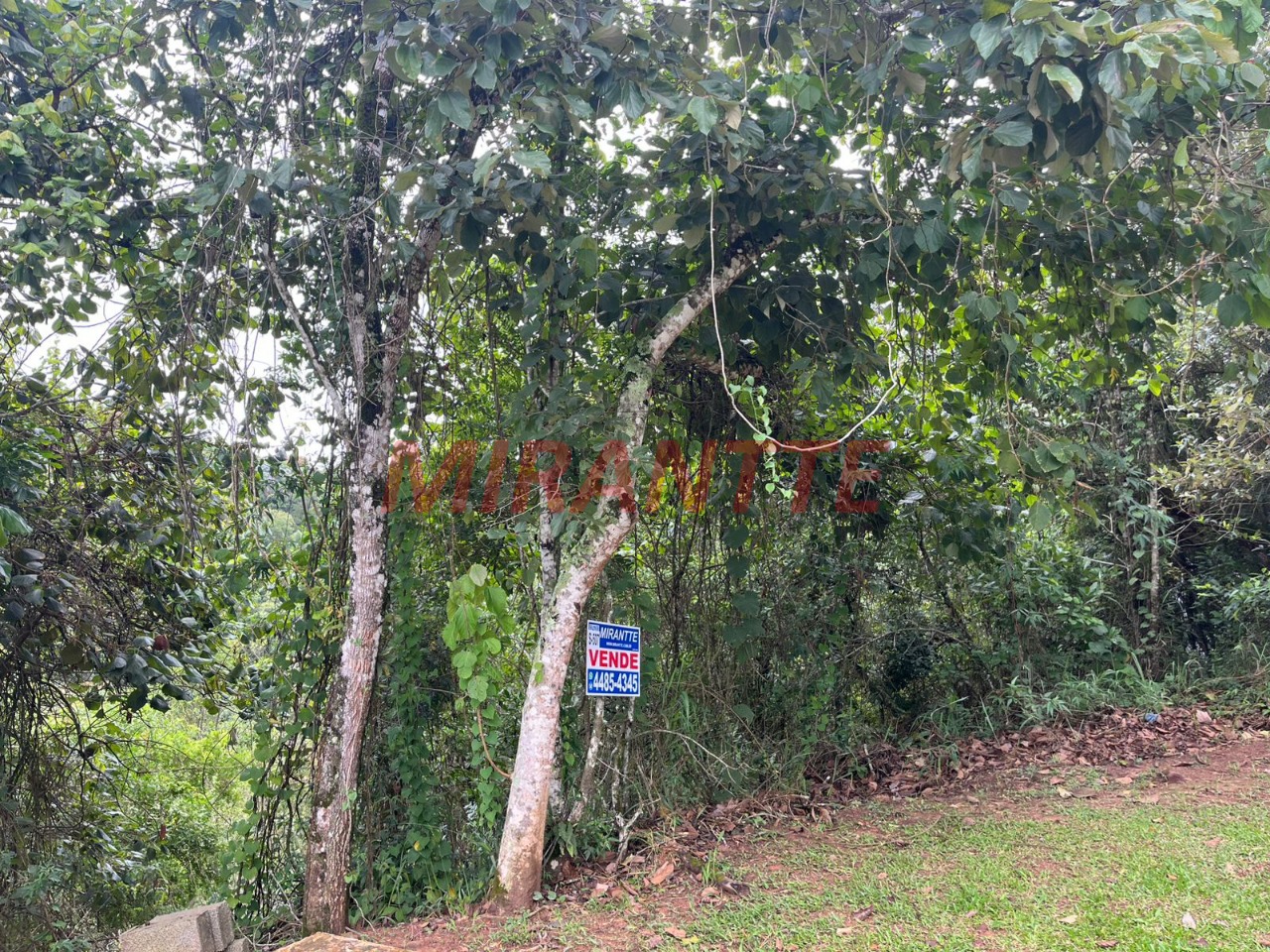 Terreno de 1.01m² em Caraguata