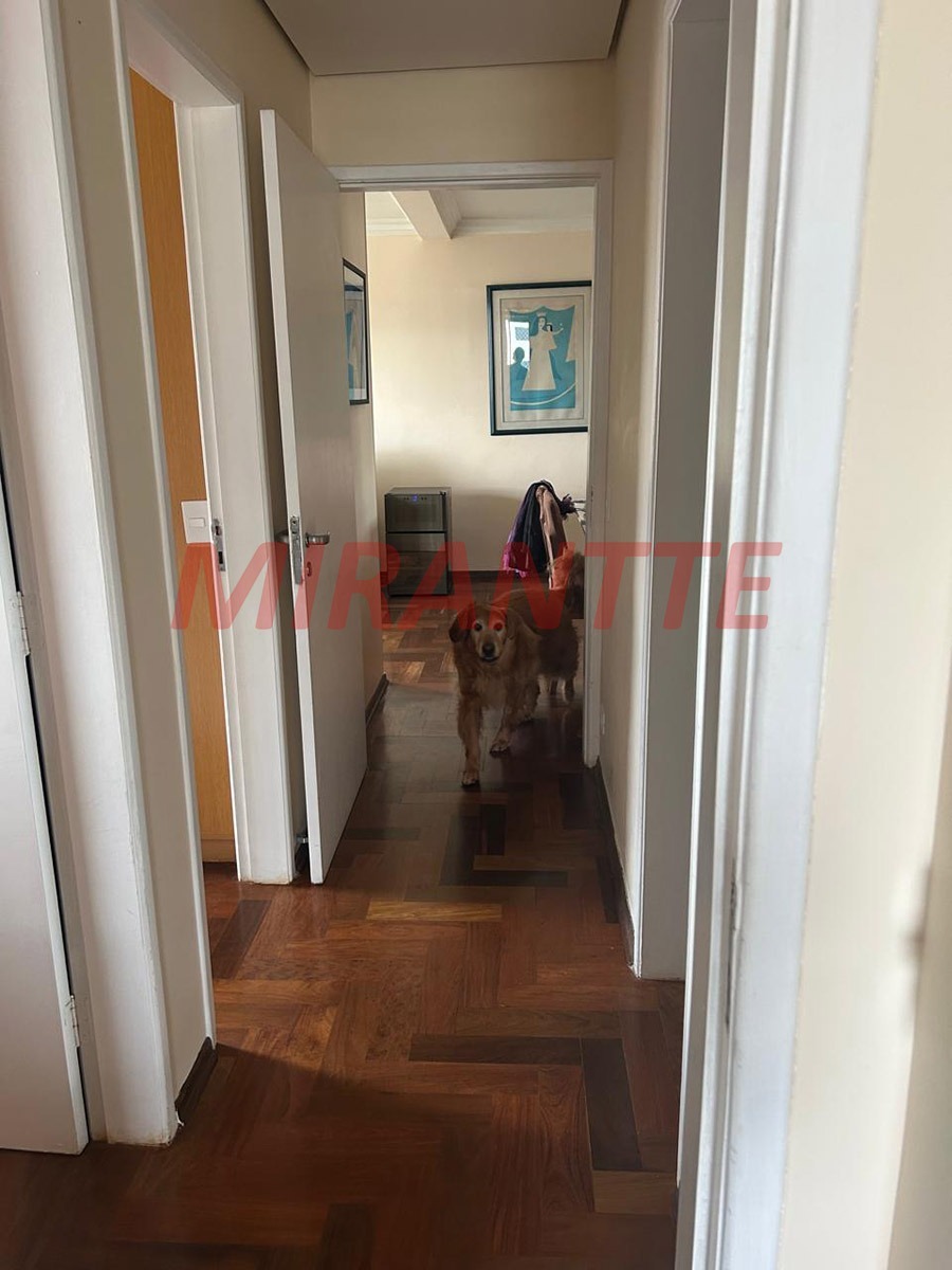 Apartamento de 87m² com 3 quartos em Vila Clementino