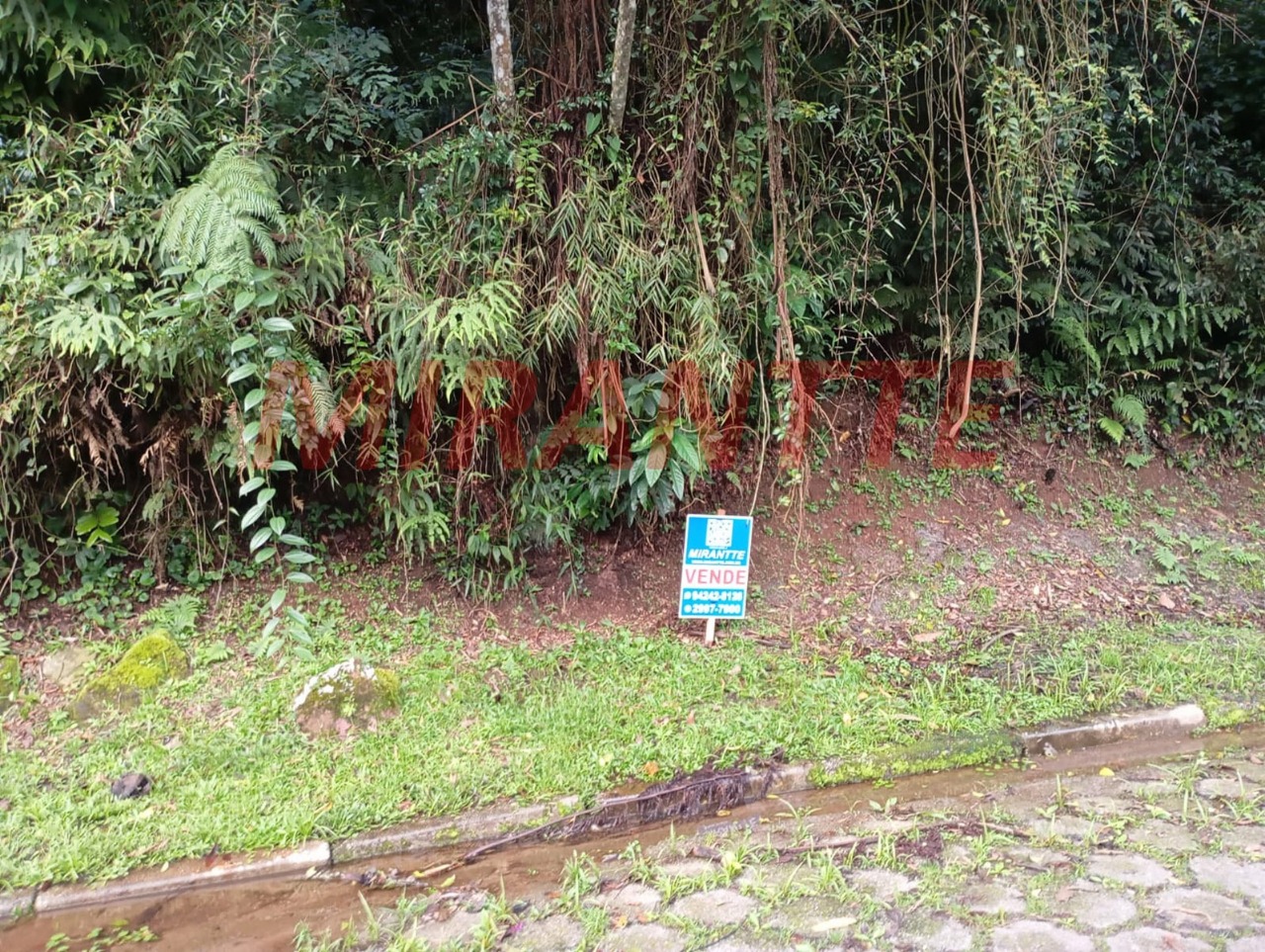 Terreno de 0m² em Roseira