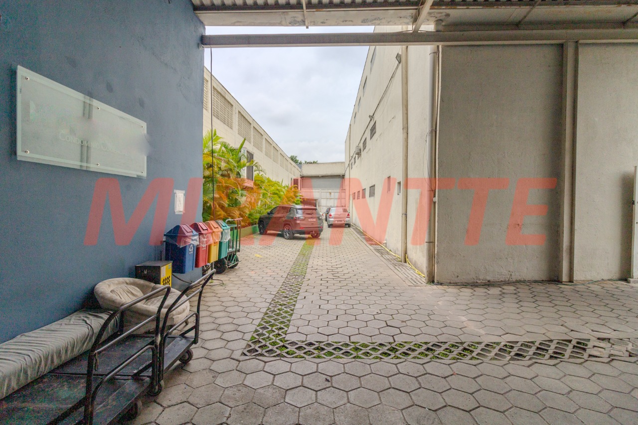 R2 Image 245730 #14